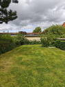 Gemeinschaftsgarten - 