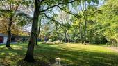 DSC_4344.jpg - 
