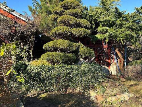 Haus-Grundstück 19.JPG - 