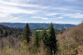 Alpenblick - 2 Zimmer Mehrfamilienhaus, Wohnhaus in Isny