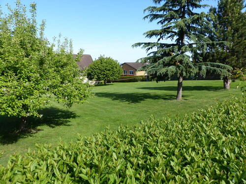 Bild 5 - 