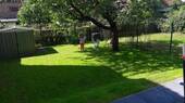 Garten EFH - 
