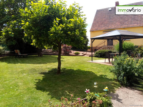 Garten Sommer - 