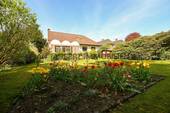 blickdichter Garten - 
