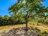 EG Blick aus dem Wohnzimmer - 