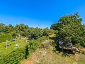 1. OG Ausblick - 