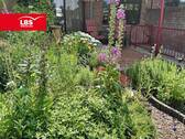 Garten - 