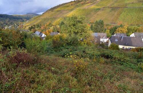 Grundstück Waldrach - 4 Zimmer Einfamilienhaus in Waldrach
