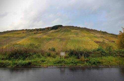 Grundstück Waldrach - Einfamilienhaus mit 145,00 m&sup2; in Waldrach zum Kaufen