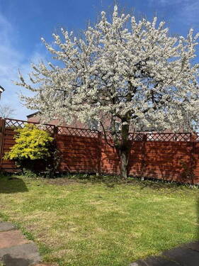 Garten - 