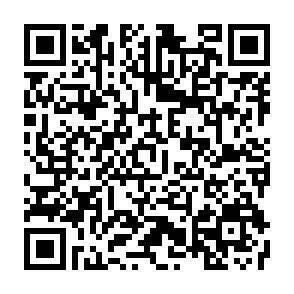 QR-Code - 