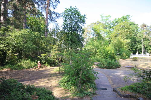 Garten - Einfamilienhaus mit 120,00 m&sup2; in Falkensee zum Kaufen