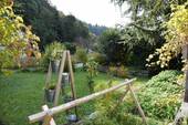 Garten - Gewerbeobjekt (Büro, Produktion, Verkauf) in Münstertal/Schwarzwald
