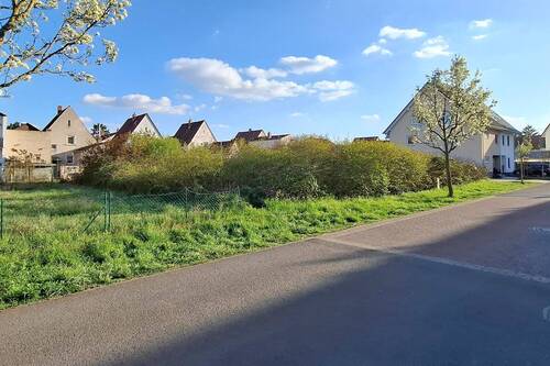 Blick von Nord-Ost - Grundstück zum Kaufen in Schifferstadt