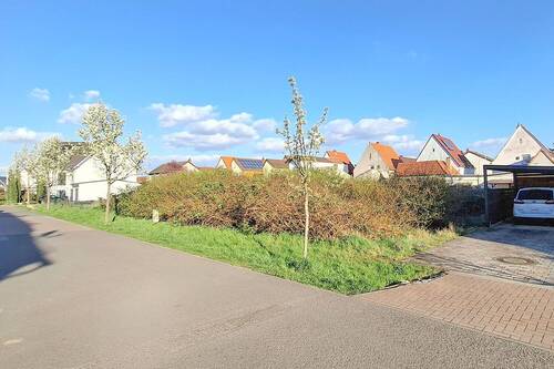 Blick von Nord-West - Grundstück in Schifferstadt