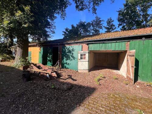 440bc419-c967-49a8-8b37-6b29b45e9491 - 