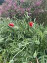 Impressionen - 