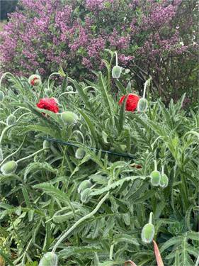 Impressionen - 