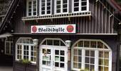 Impressionen (2) - 