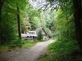 Impressionen (12) - 