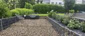 Garten - 