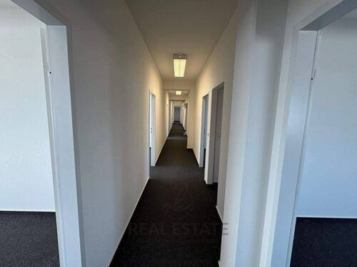 2.jpg - 1 Zimmer Büro zur Miete in Hamburg