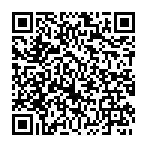 QR-Code - 