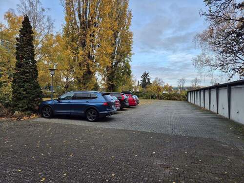 20251104_101323.jpg - 