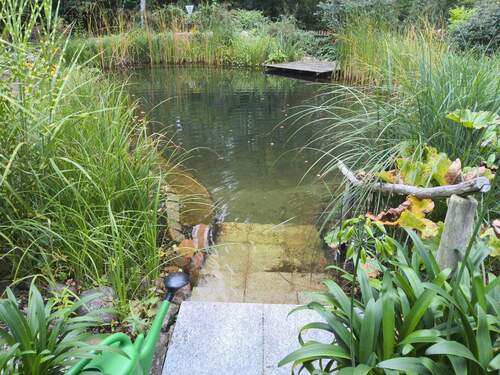 Schwimmteich - 