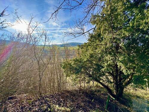 Natur pur im großzügigen Garten - 