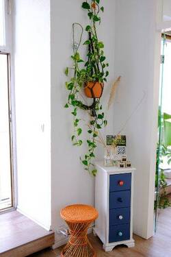 Flur - Büro in Köln