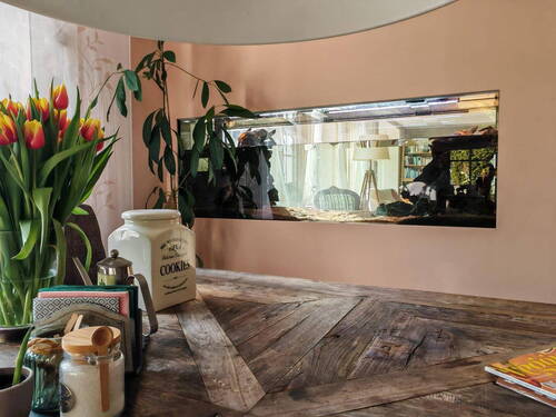 Esszimmer mit Wandaquarium - 