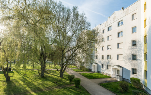 Screenshot 2026-02-24 153543.png - top saniert!-3 neue Räume für dich