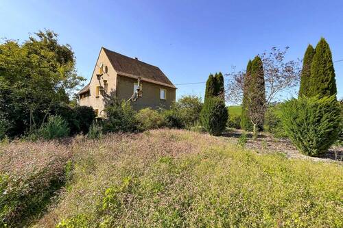 Garten - 4 Zimmer Einfamilienhaus zum Kaufen in Geithain