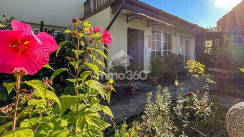 Garten / Eingangsbereich - 