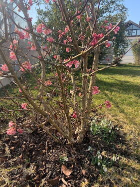 Bild 20 - 