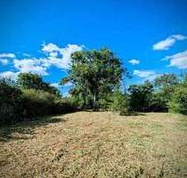 Ein tolles Zuhause für zwei Familien in Großfahner mit Town & Country Haus- Einfach zweimalig...