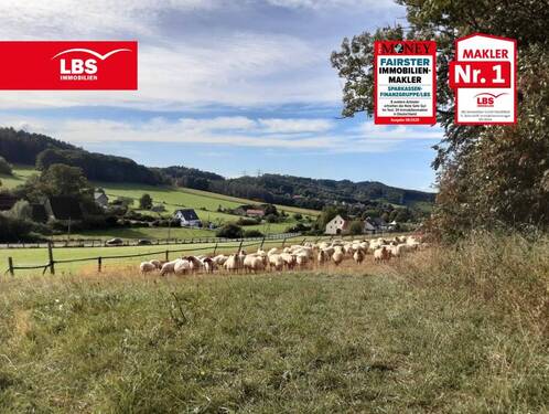 Landimpression mit Bild vom Hof - 2 Zimmer Mehrfamilienhaus, Wohnhaus zum Kaufen in Bielefeld