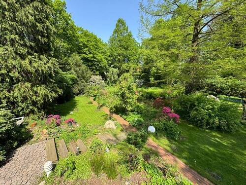 Blick in den Garten - 