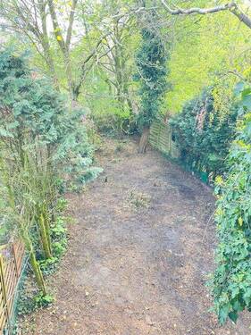 Blick vom Balkon in den Garten - 