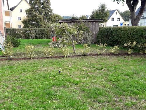 2 Gartenanteile im EG mit Treppenzugang - 