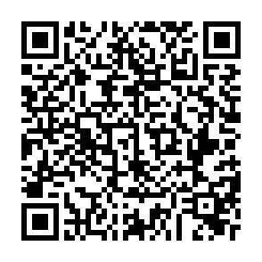 QR-Code - 