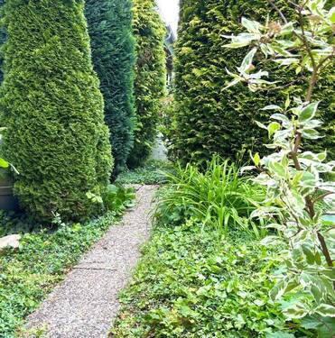 wunderschön eingewachsen - 