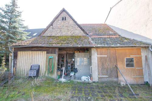 Schuppen Gartenansicht klein - 