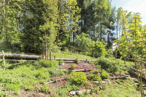 Teil des Gartens - 