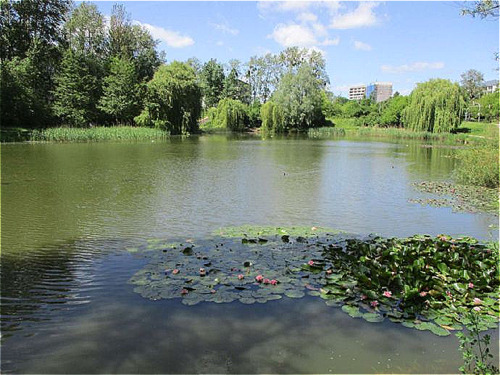 Parkanlage Ihlenpool - 