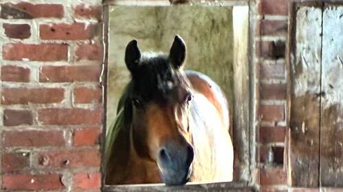 Ein Ort zum Wohlfühlen - 