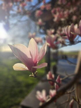 Bild 7 - 