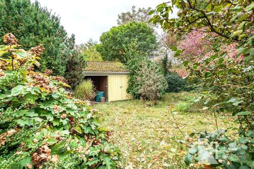 Blick in den Garten - 