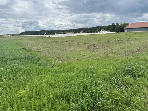 Bild 2 - Grundstück zum Kaufen in Neuötting